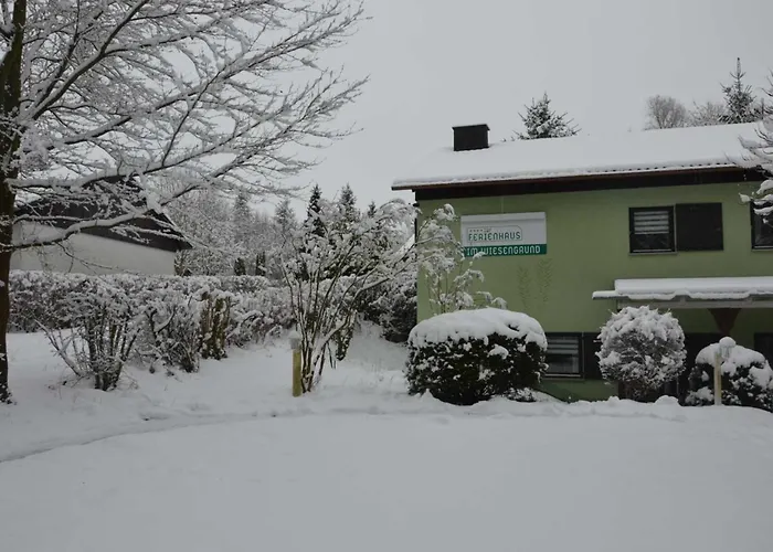 公寓 Haus Im Wiesengrund Og *